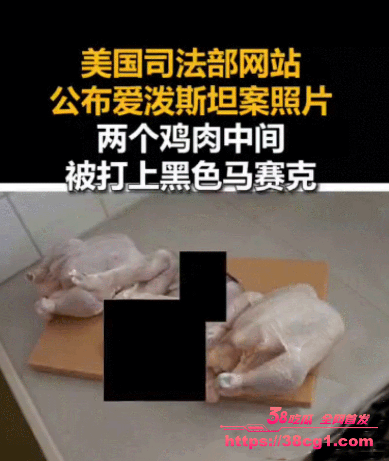 _______11_.gif _______11_.gif